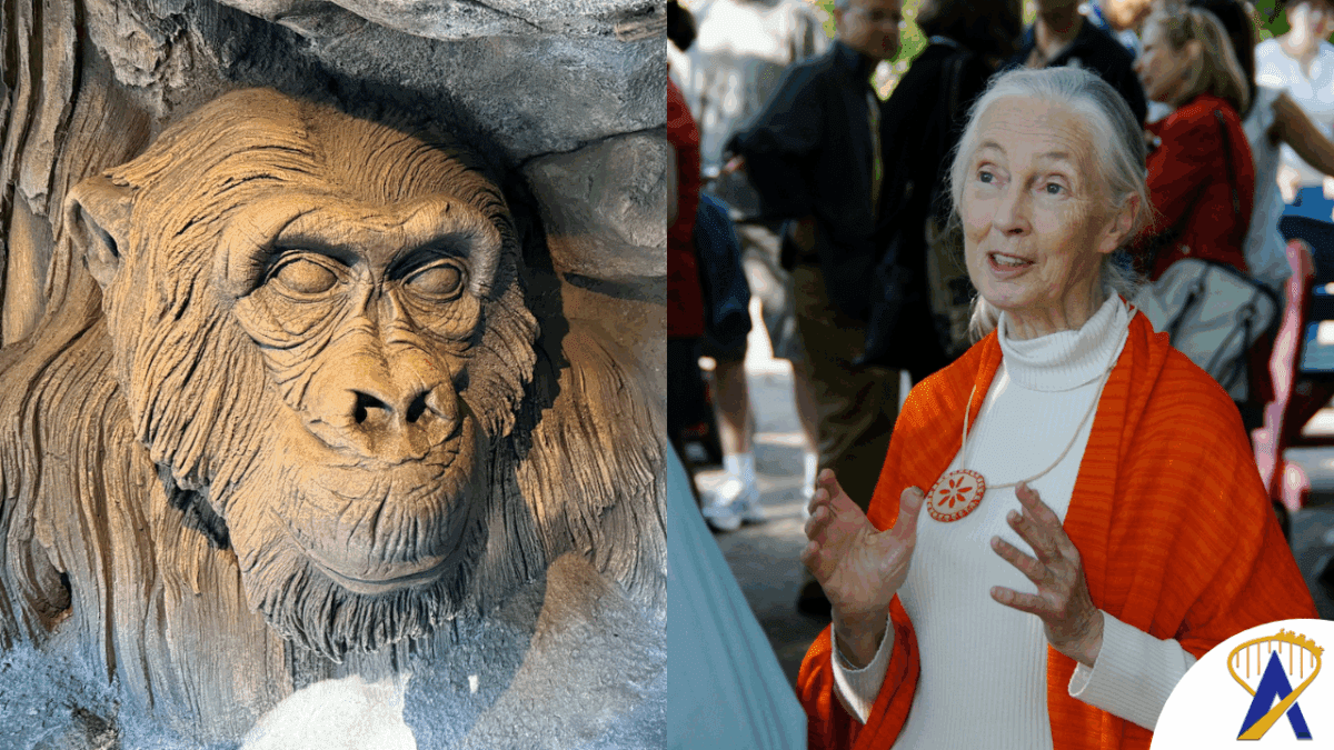 Dr. Jane Goodall