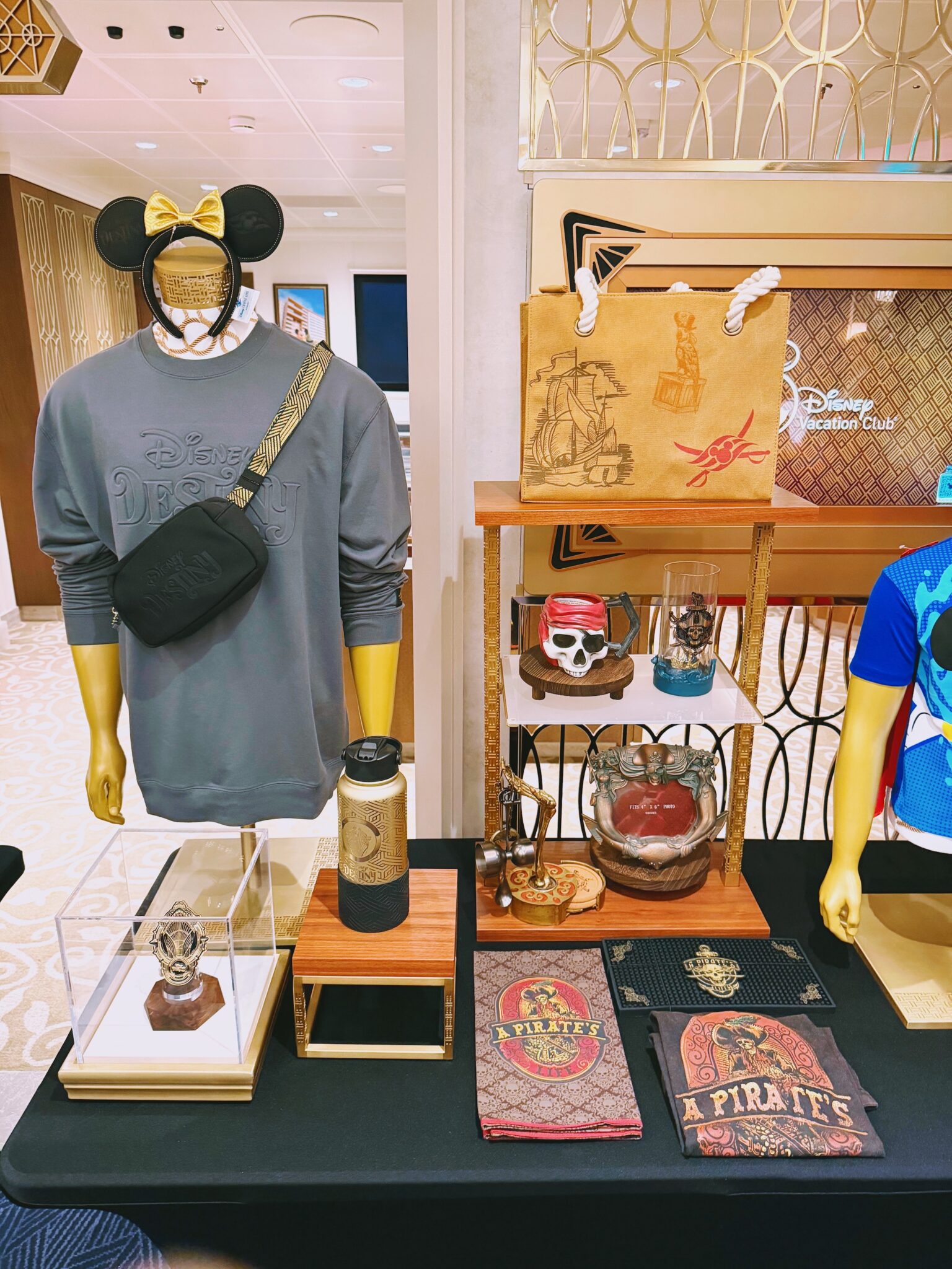 Disney destiny merchandise