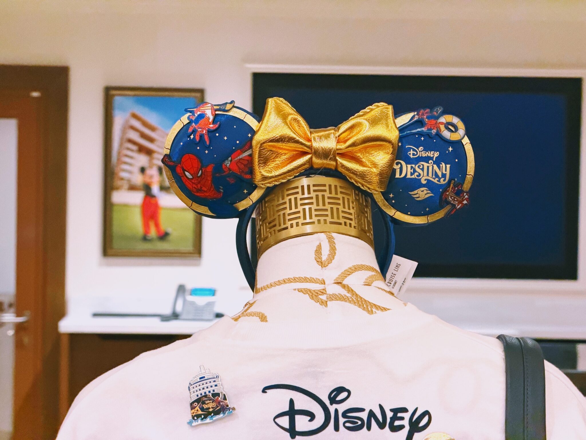 Disney destiny merchandise