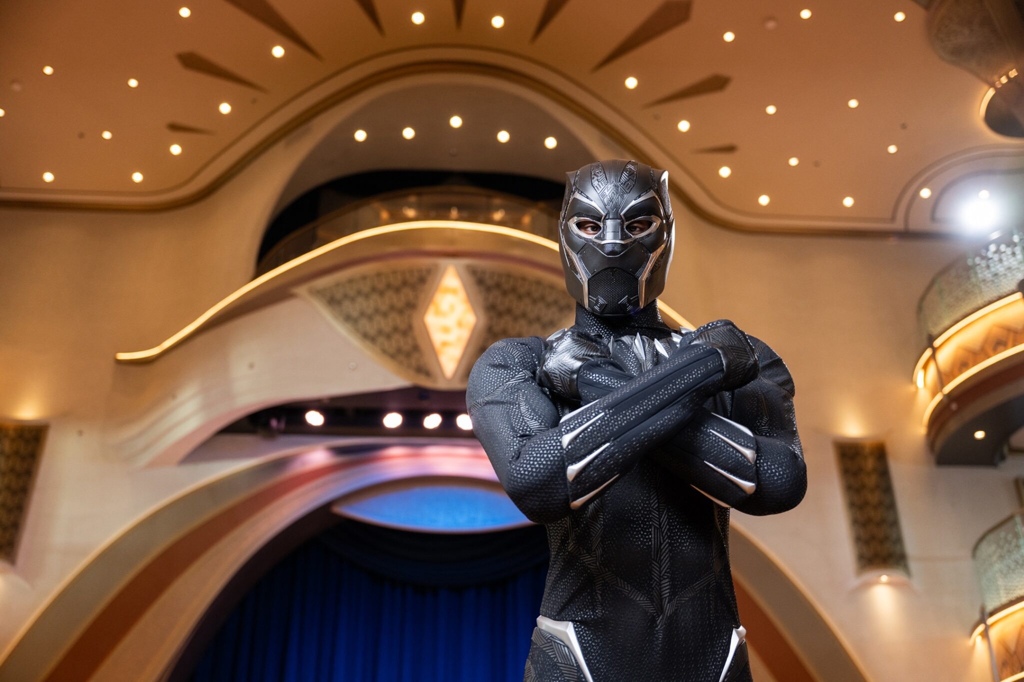 Black Panther, Disney Destiny
