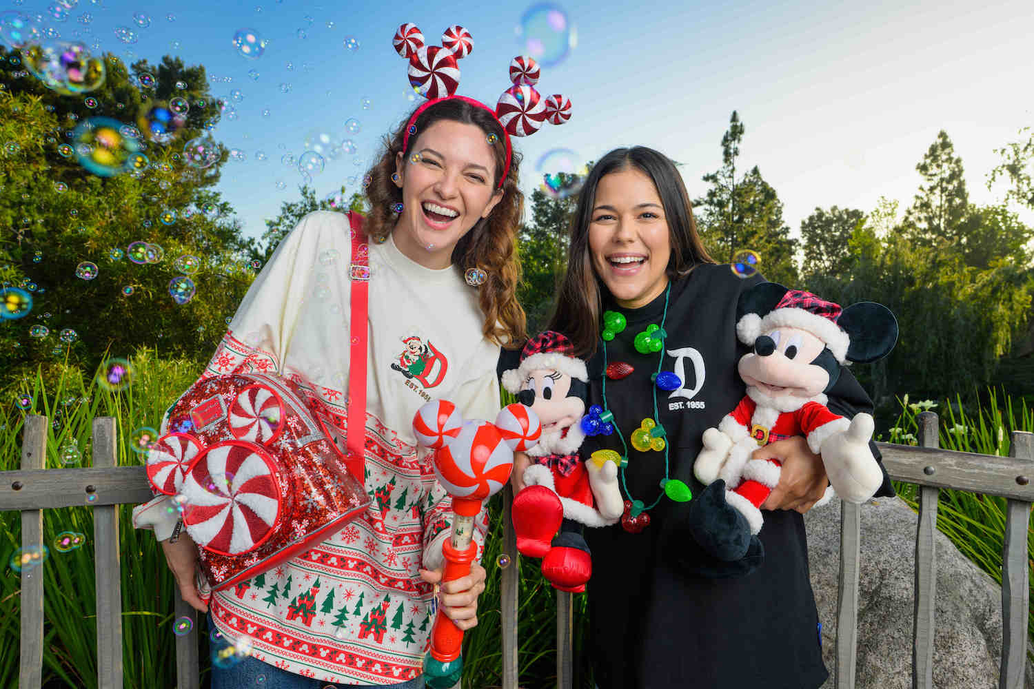 Disneyland holiday season merchandise