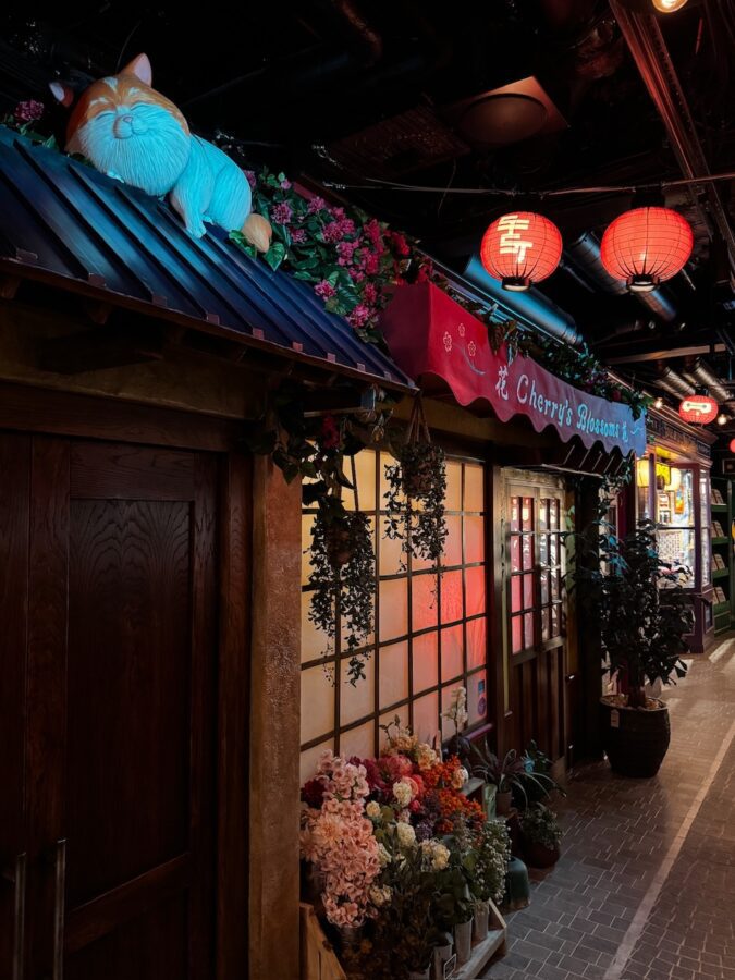 Disney Adventure San Fransolyo Street