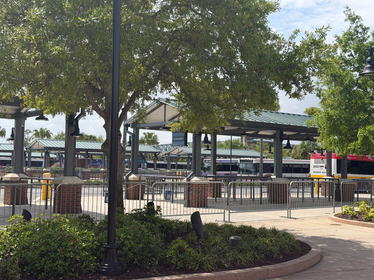 Disney Springs bus loop. Photo by Magic City Mayhem