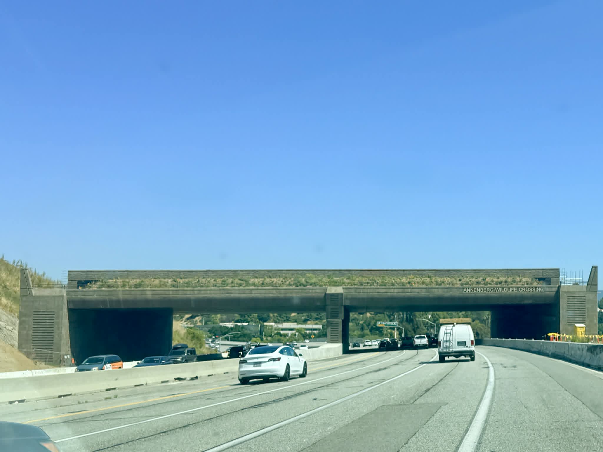 Annenberg Wildlife Crossing seen from the road - Photo Samantha Davis-Friedman
