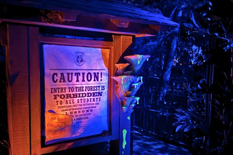 Entrance to Forbidden Forest zone Universal Fan Fest 