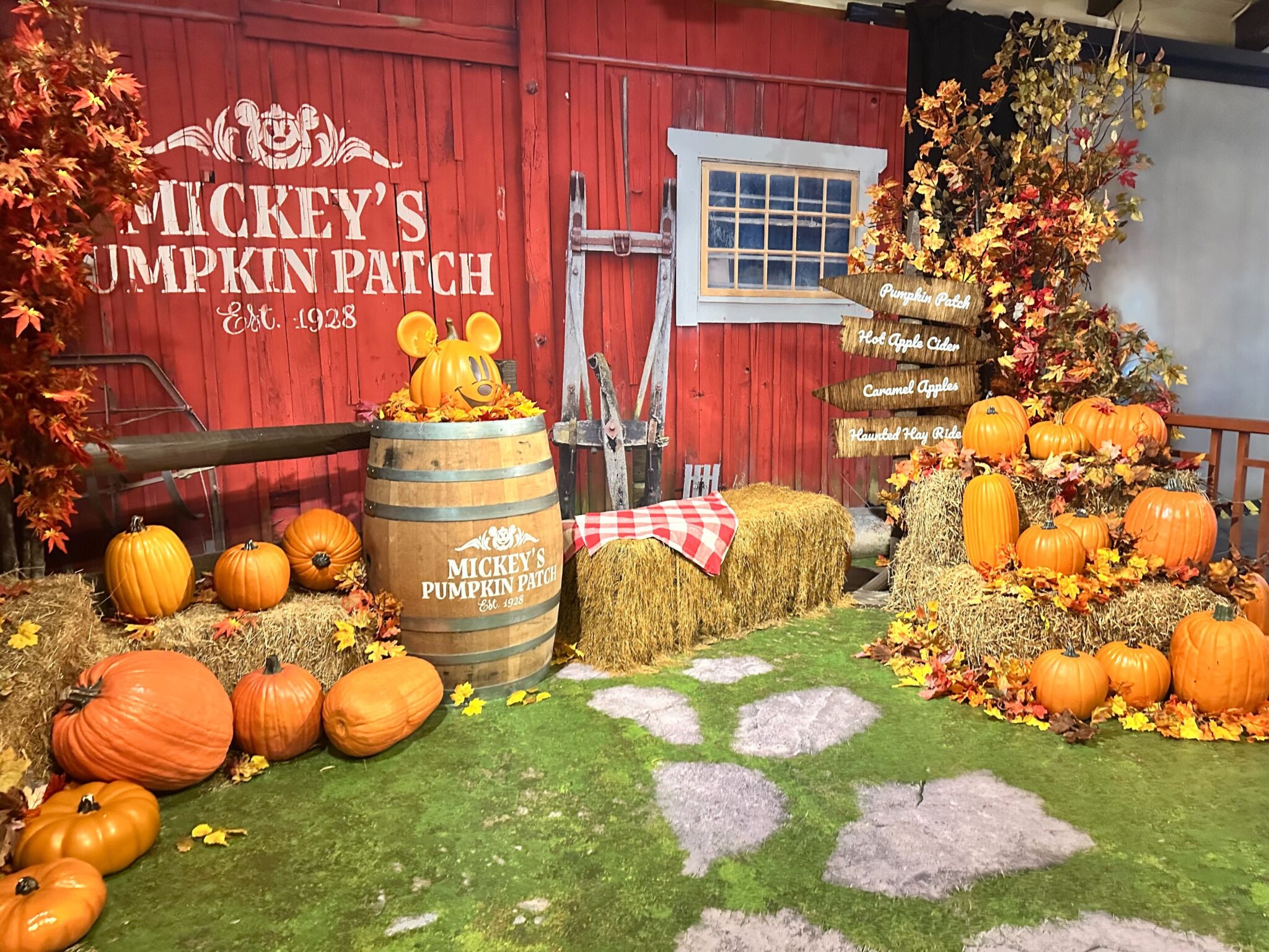 Fall Backdrop at Disney Photopass Studio Disney Springs