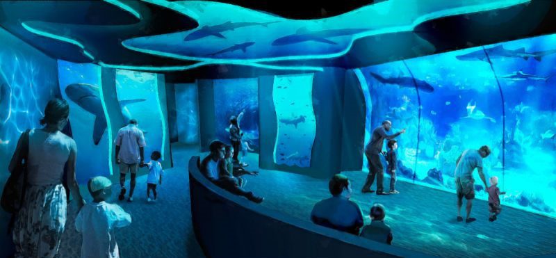 Lower Level Rendering