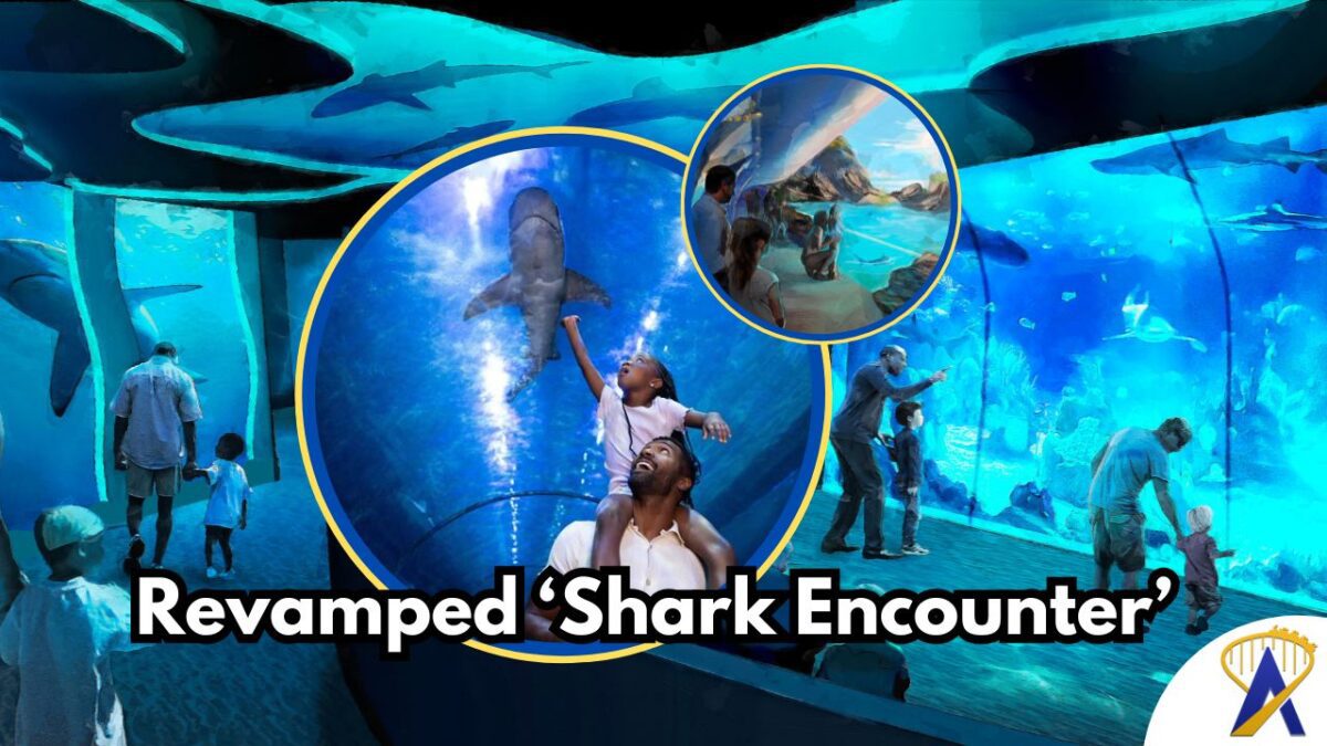 New seaworld san diego shark exhibit - all iamges from seaworld