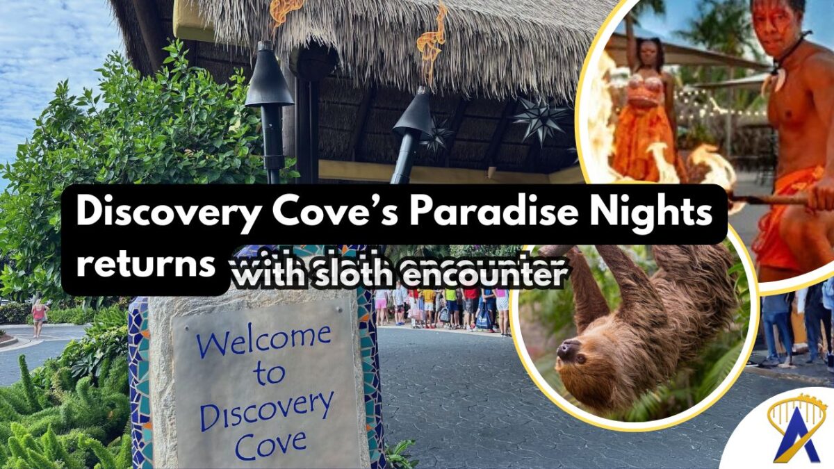 Paradise Nights Discovery Cove with sloth and new show - Photos by Dani Meyering, Discovery Cove and Getty Images Pro