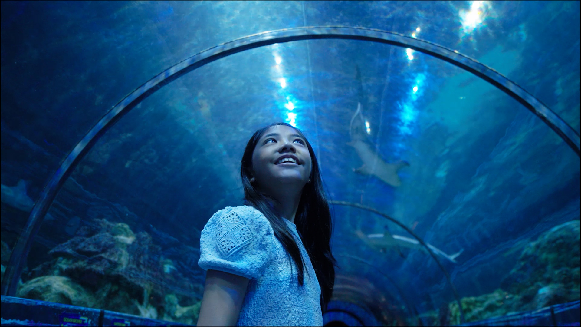 Shark tunnel with girl