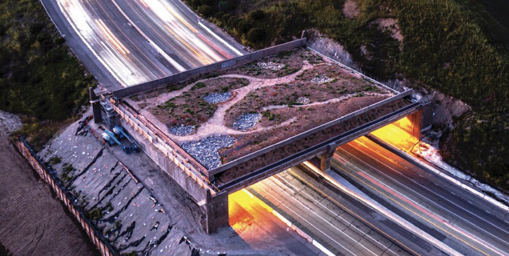 Wallis Annenberg Wildlife Crossing under construction World's Largest wildlife crossing California rendering