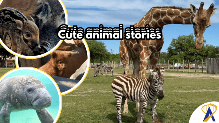 cute animal stories at U.S. theme parks this month - photos from Disney Six Flags and Wild Adventures