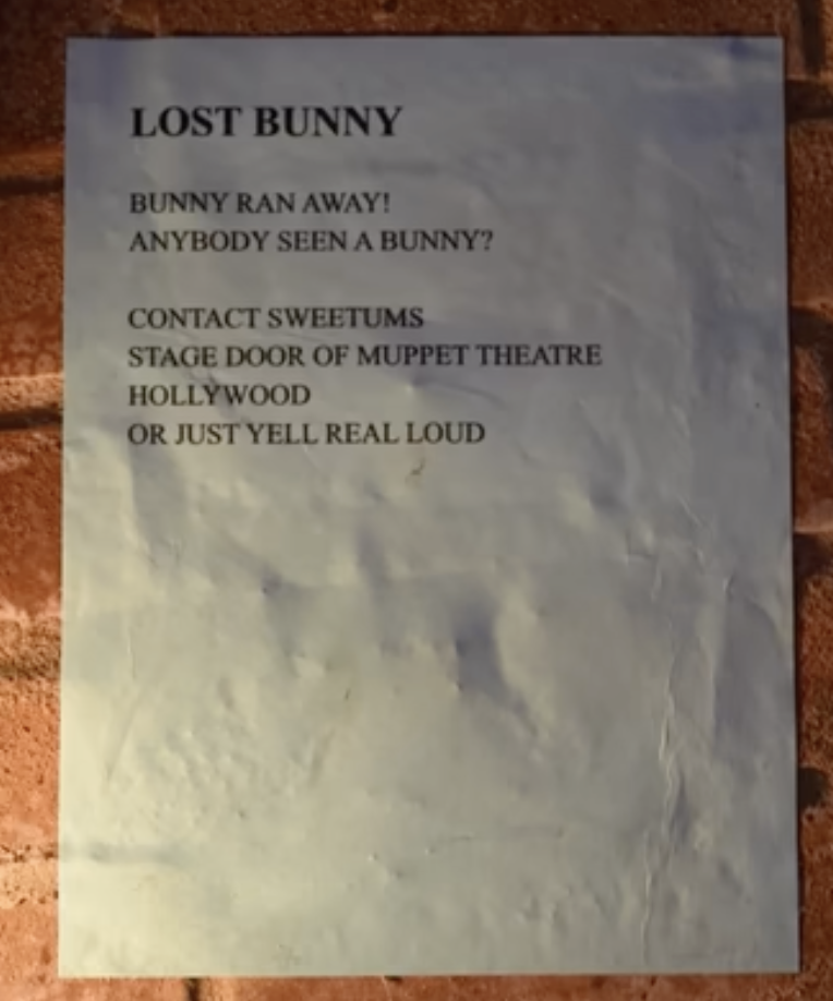 Bean Bunny lost bunny flyer on wall
