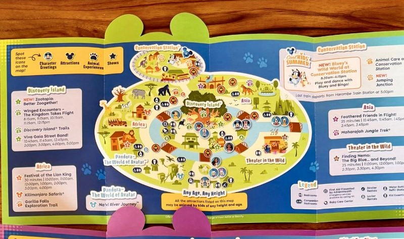Bluey animal kingdom kids cool kids' summer map  inside