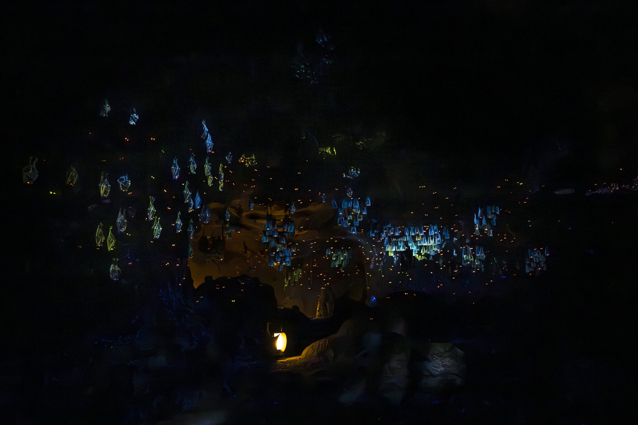 Lots of bats in cavern new Big Thunder Mountain Railroad 