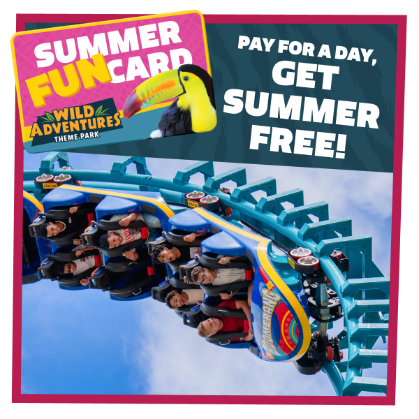 Guests riding a blue rollercoaster under a blue sky, featuring a "Summer Fun Card: Pay for a Day, Get Summer Free" promo graphic.