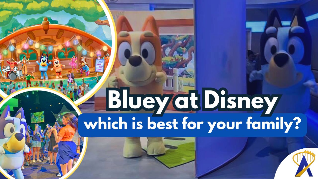 Bluey Disney Experiences Compared From Land to Sea