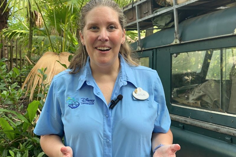 caitlin cox discusses conservation at animal kingdom