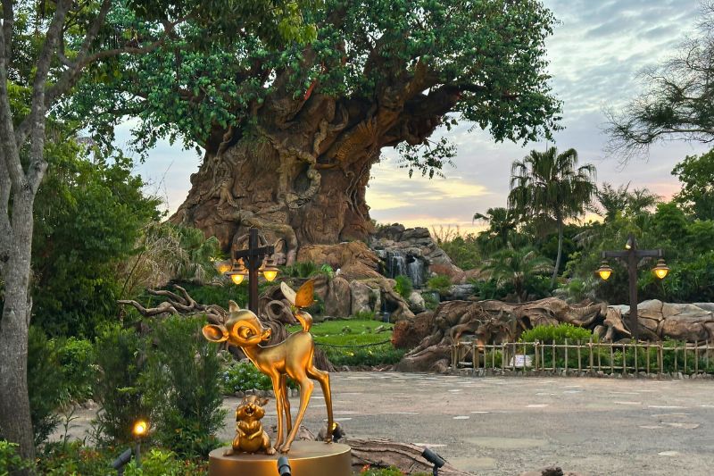 animal-kingdom-tree-of-life-bambi-sunrise