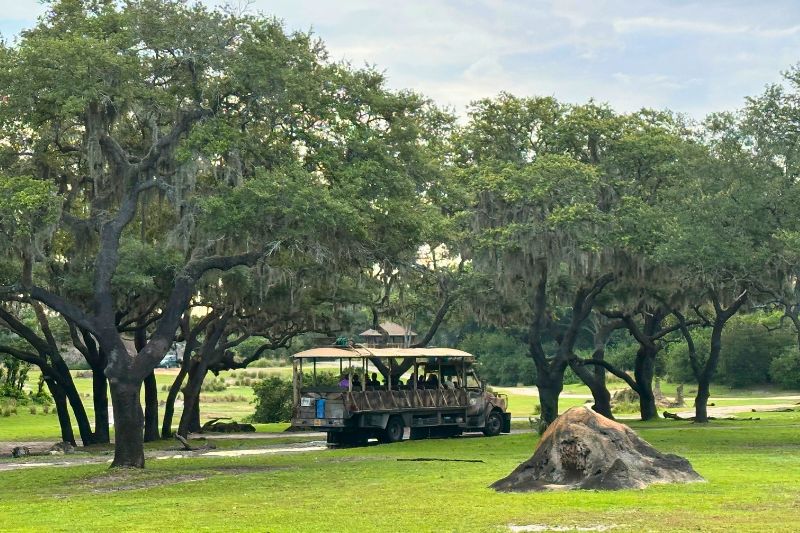 Ride vehicle truck on savanna Kilimanjaro Safaris