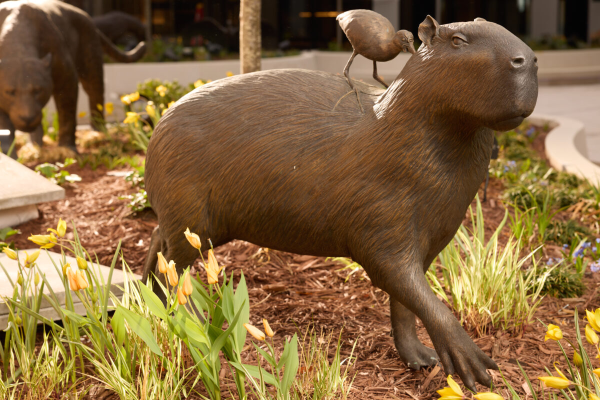 A bronze sculpture of a capybara standing at attention, while a wattled jacana searches for insects on its back. In the background, a bronze sculpture of a jaguar watches hungrily.