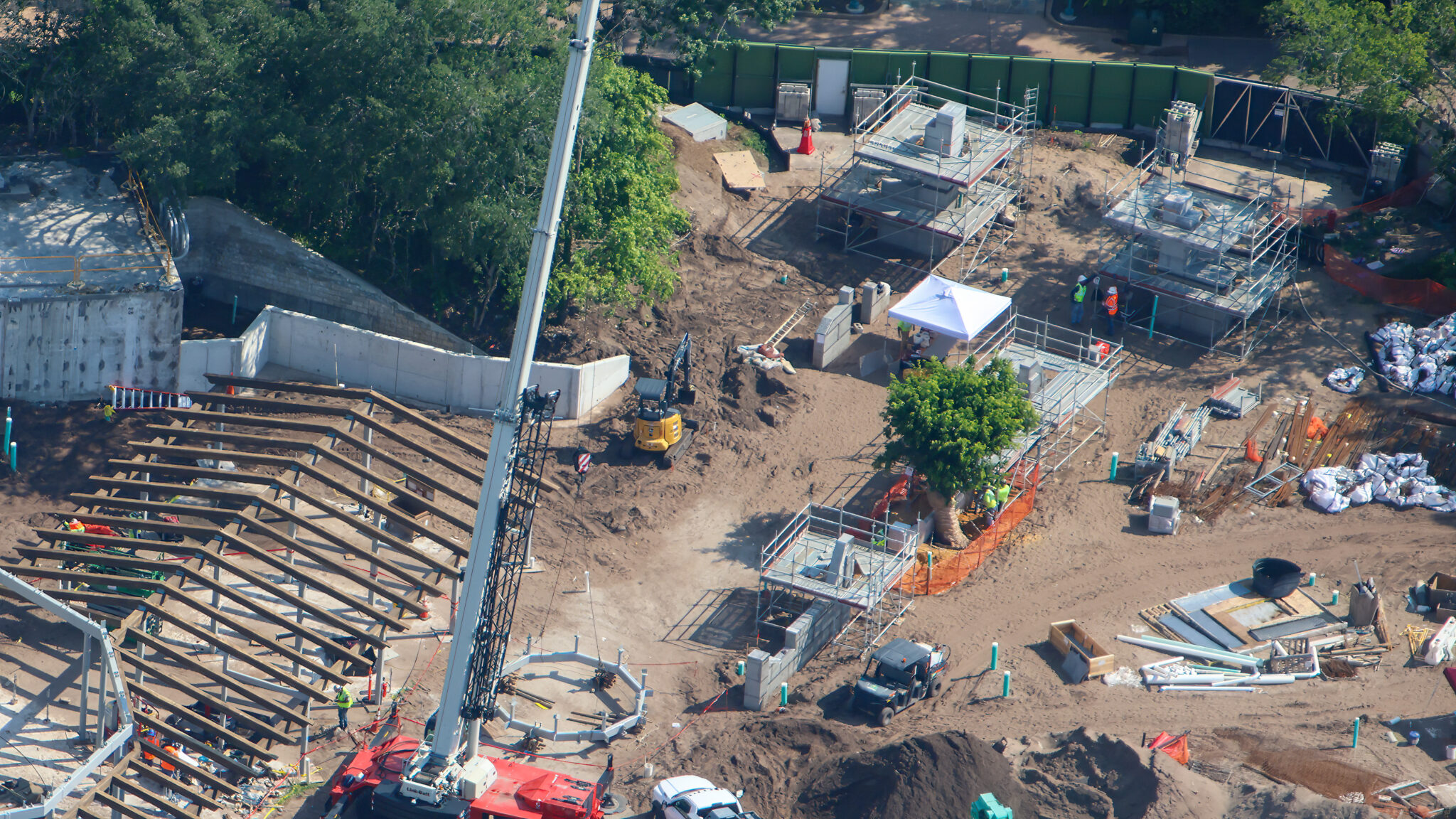 First tree transplanted at Tropical Americas