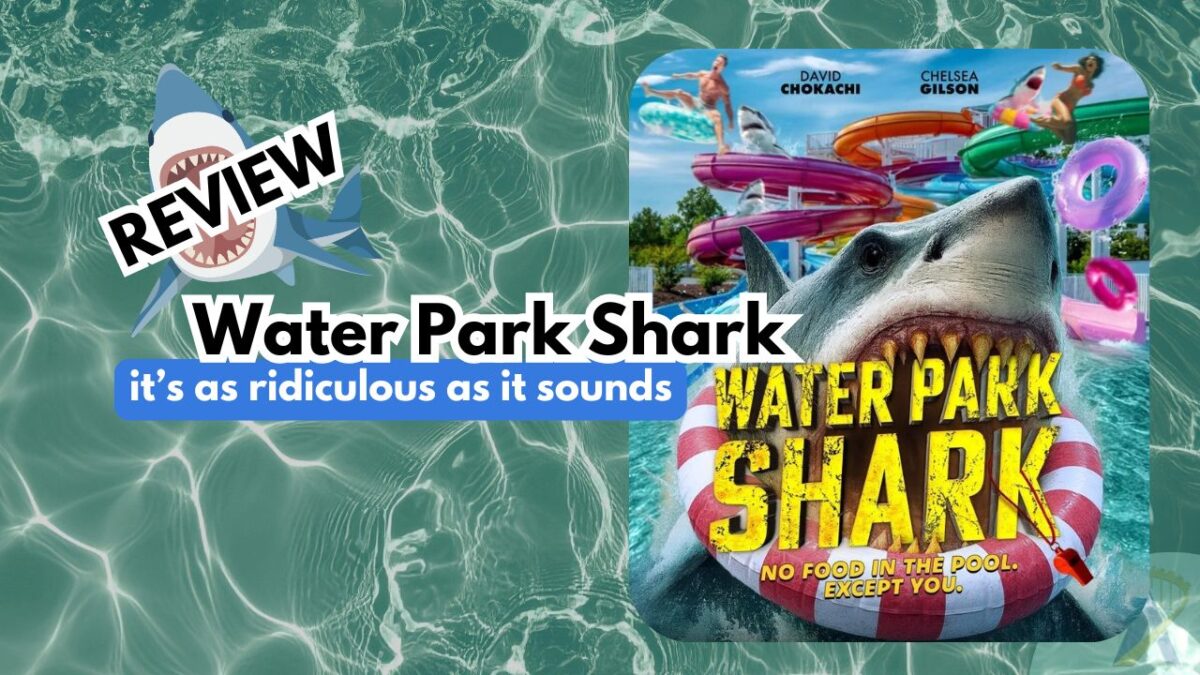 Water Park Shark movie review
