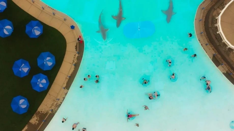 "Water Park Shark" movie image courtesy of Chroma.