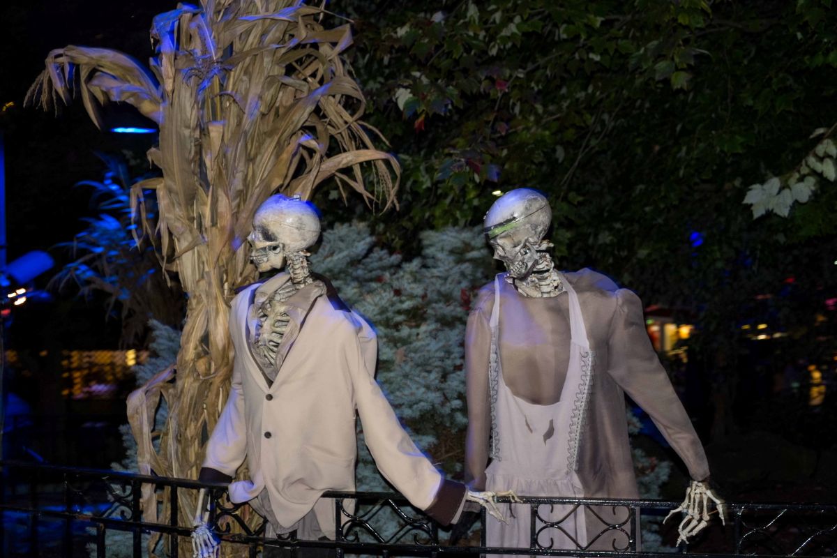 Skeleton figures dressed in vintage clothing standing near corn stalks
