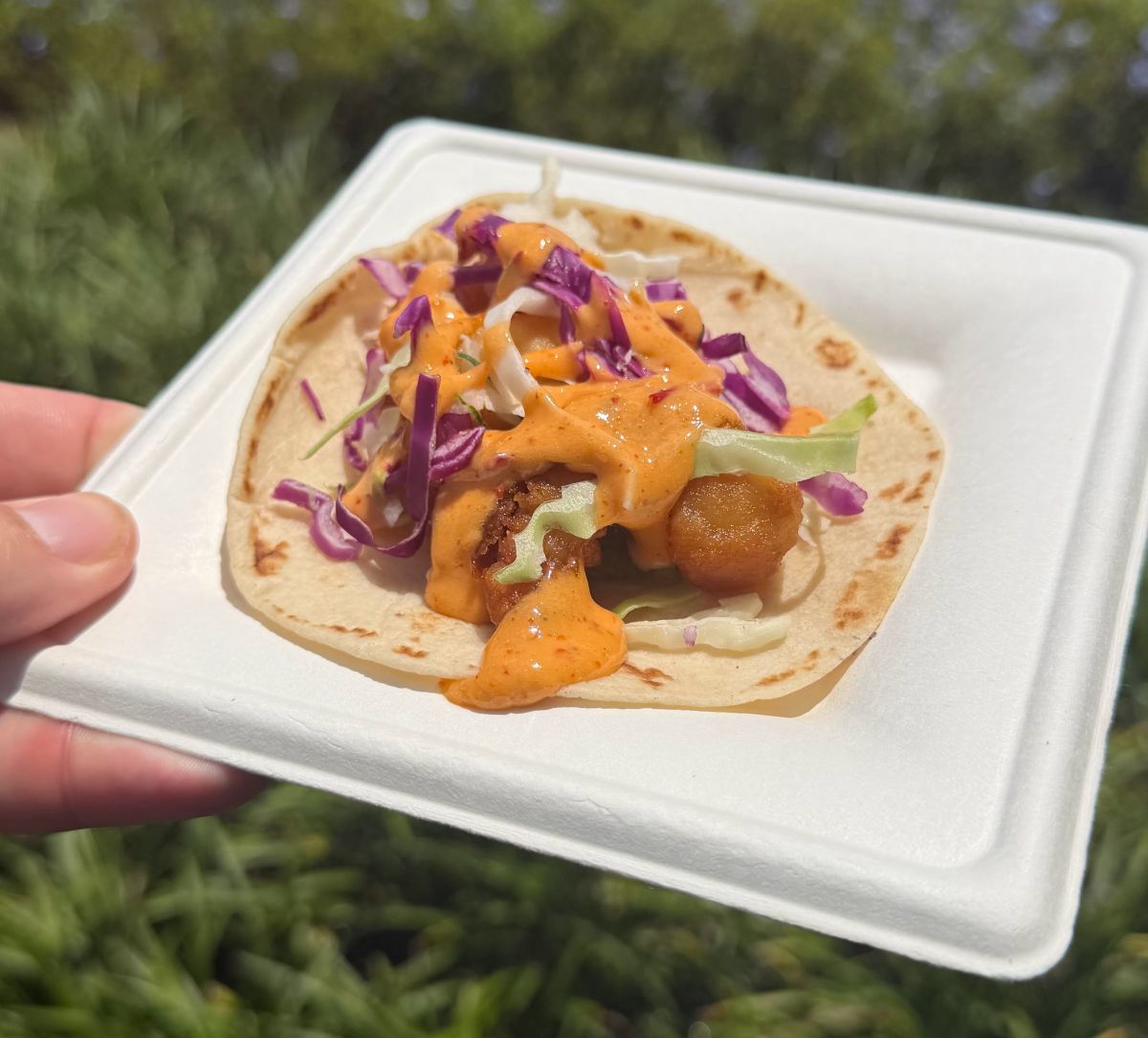 A hand holds a square white paper plate featuring a single taco with fried shrimp, shredded purple and green cabbage, and a drizzle of orange sauce for 2026 Epcot Food & Wine Festival