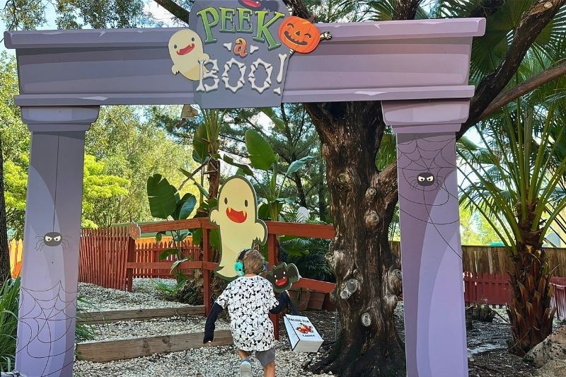 Son enters Peek-a-Boo maze SeaWorld Orlando Spooktacular