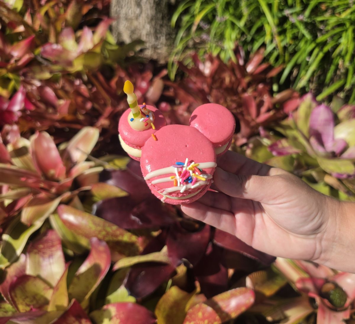 Mickey-shaped Celebration Macaron shown in front of some bushes