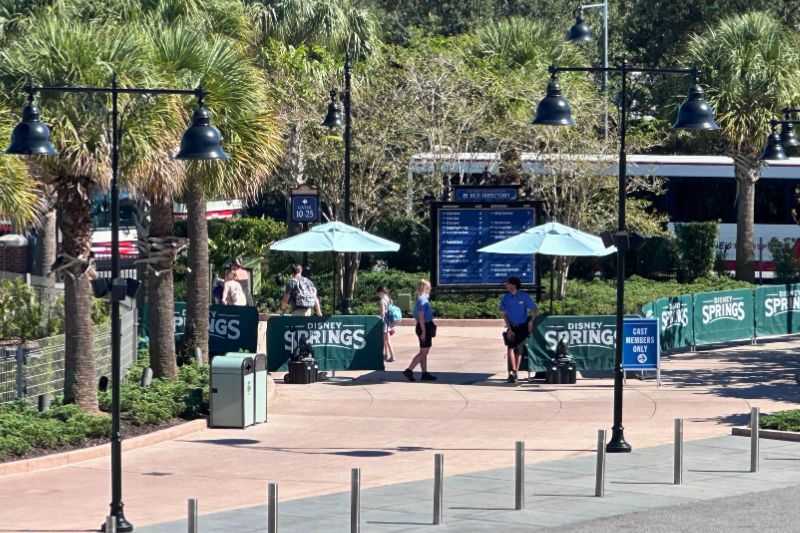 Cast Members checking access to Disney Springs transportation September 2026