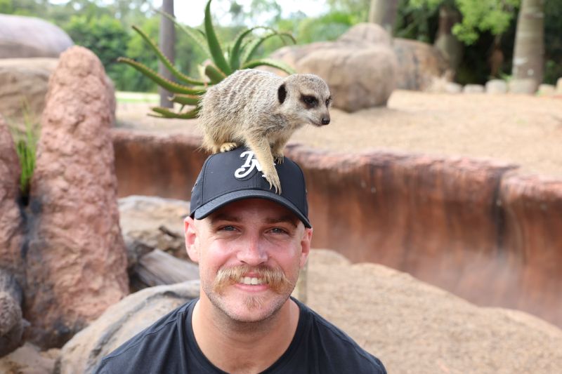 man wearing a baseball hat smiles while a meerkat is on top of his hat