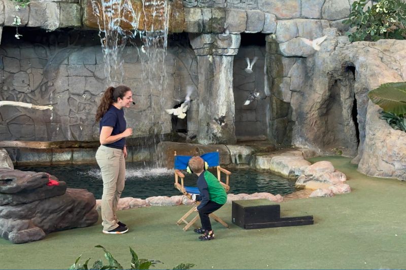 young boy ducks from birds while on stage at Animal Actors show