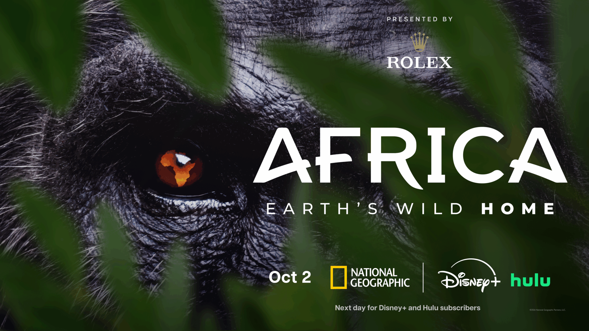 First Look at “Africa Earth’s Wild Home” National Geographic’s continent-sized series
