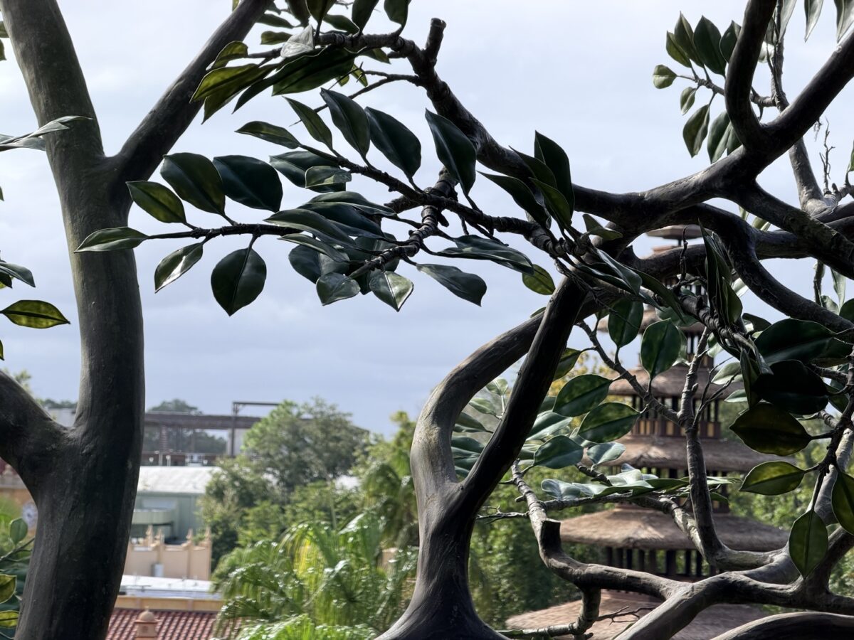 Magic Kingdom backstage building seen from Swiss Family Robinson Treehouse October 2026 