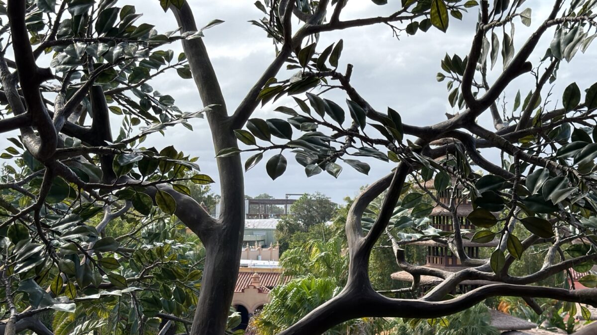 Magic Kingdom backstage building seen from Swiss Family Robinson Treehouse October 2026