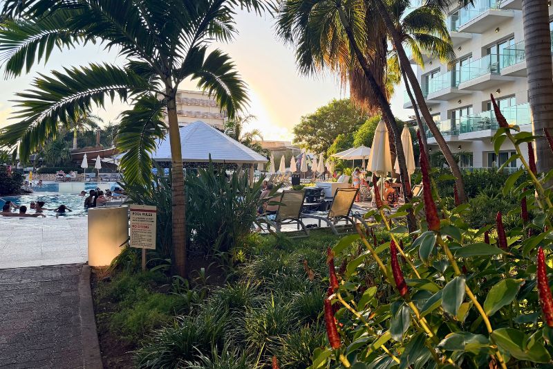 Sonesta Maho Beach pool and landscaping